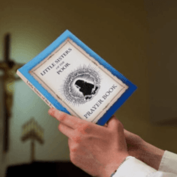 busaproducts (3).png