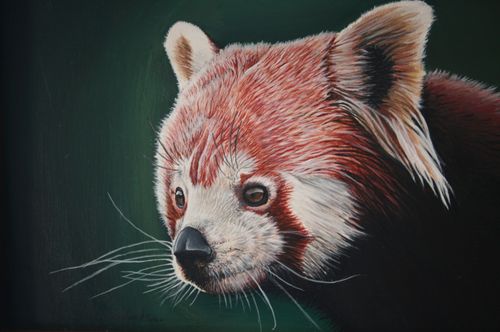 10th-12th Grade - 1st Place - Red Panda