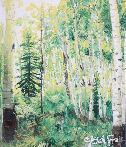 10th-12th Grade - Honorable Mention - Aspens in Summer