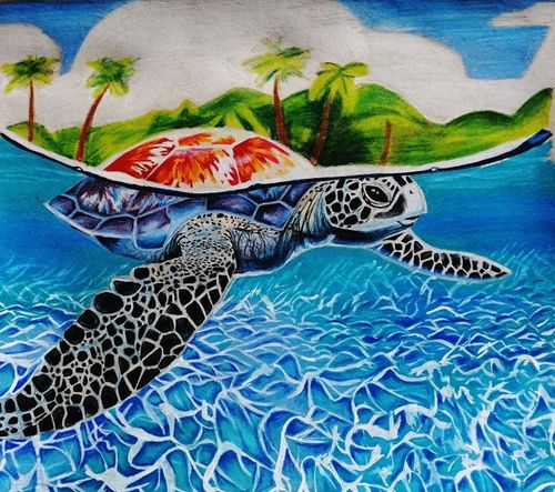 10th-12th Grade - Honorable Mention - Green Sea Turtle