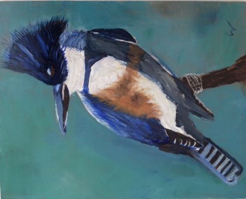 10th-12th Grade - Honorable Mention - King Fisher