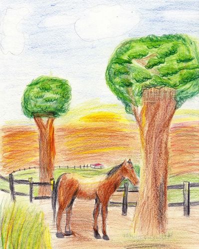 2nd-3rd Grade - 3rd - Horse in the Field