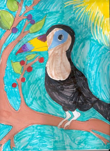 2nd-3rd Grade - 3rd - Hungry Toucan