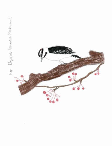 2nd-3rd Grade - Honorable Mention - Downy Woodpecker