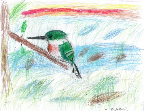 2nd-3rd Grade - Honorable Mention - Kingfisher in Swamp at Sunrise