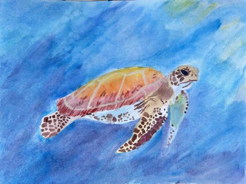 4th-6th Grade - 1st Place - Sea Turtle