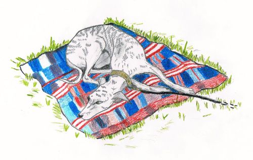4th-6th Grade - 2nd Place - The Sleeping Whippet