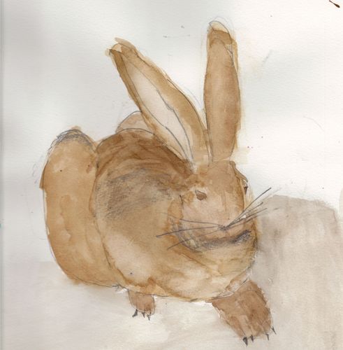 4th-6th Grade - Honorable Mention - Brown Bunny