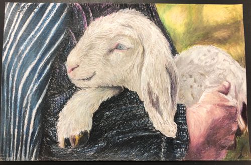 7th-9th Grade - 1st Place - Feed My Sheep
