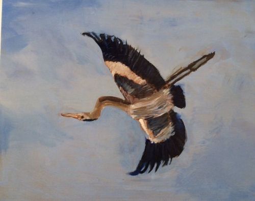 7th-9th Grade - Honorable Mention - Heron