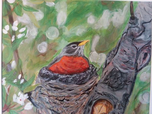 7th-9th Grade - Honorable Mention - Robin