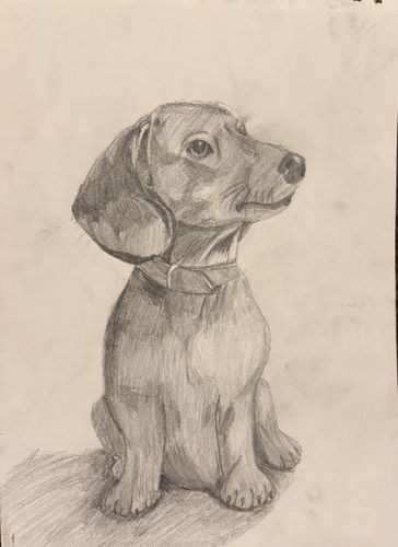 2nd-3rd Grade - 1st Place - Misty Waiting for Her Walk