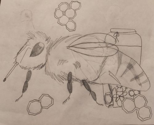 PK-1st Grade - 3rd Place - Honeybee