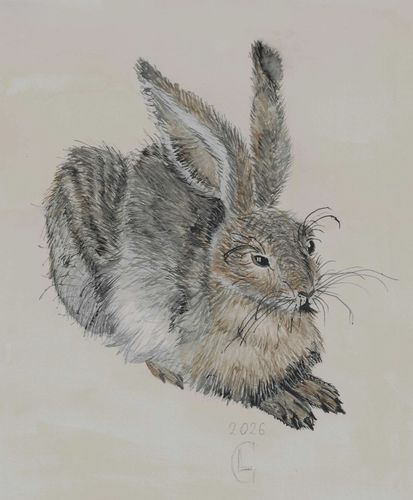 7th-9th Grade - Honorable Mention - The Hare