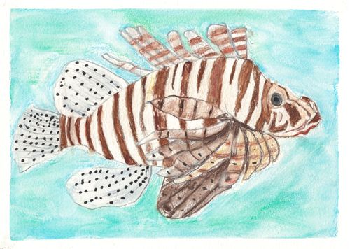 PK-1st Grade - 1st Place - Lionfish