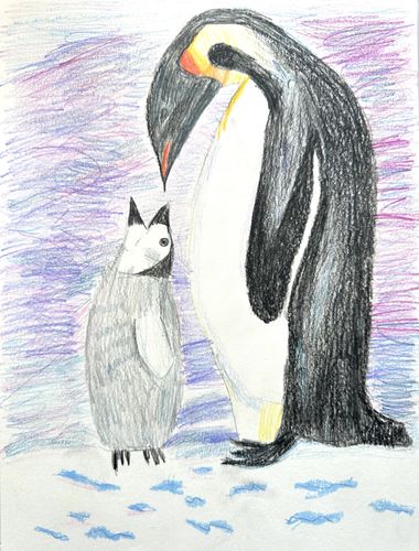 PK-1st Grade - 2nd Place - Life in the Arctic