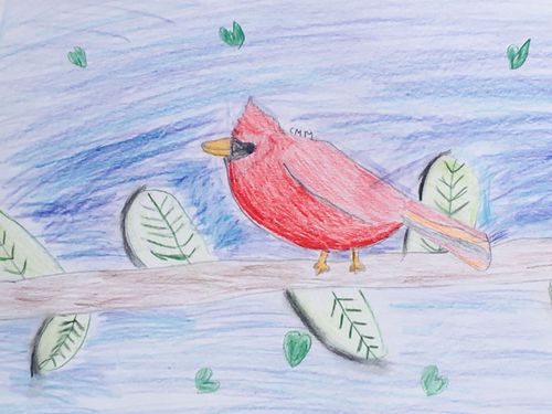 PK-1st Grade - Honorable Mention - Cardinal