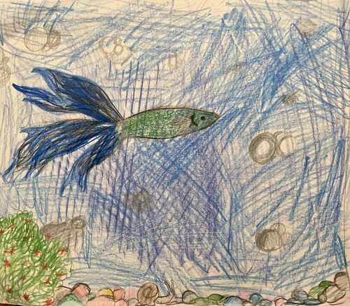 PK-1st Grade - Honorable Mention - My Pet Fish