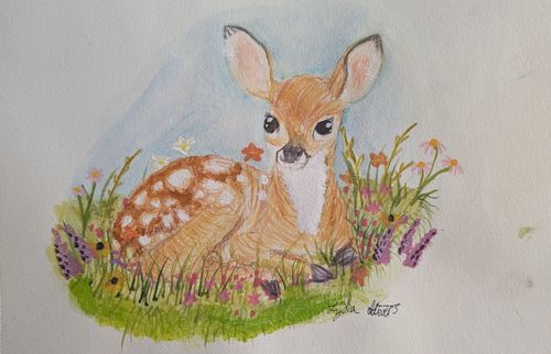 4th-6th Grade - Honorable Mention - Fawn in Spring