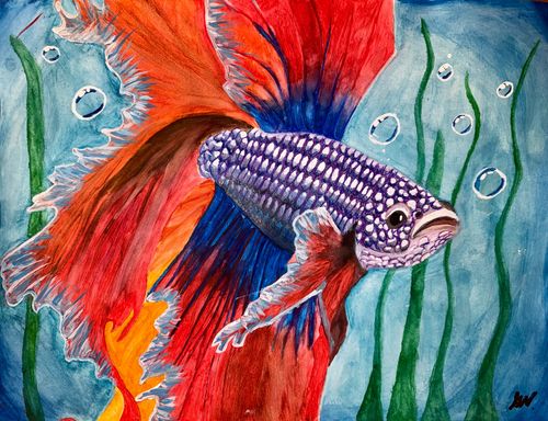 7th-9th Grade - 1st Place - Fire Under the Water